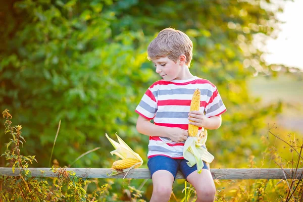 Niño con maíz dulce en el campo al aire libre —  Fotos de Stock