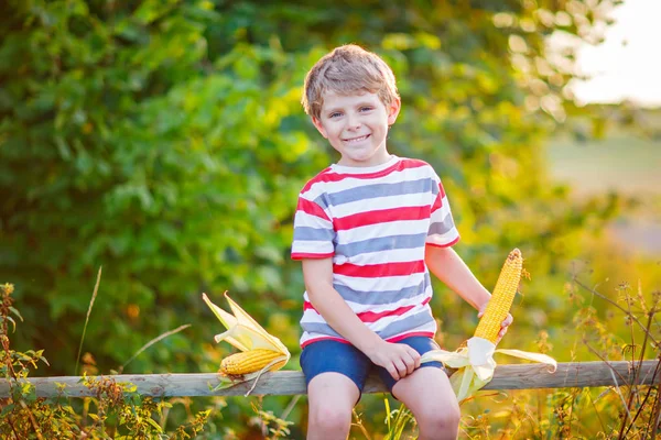 Kid boy with sweet corn on field outdoors — Stock Photo, Image