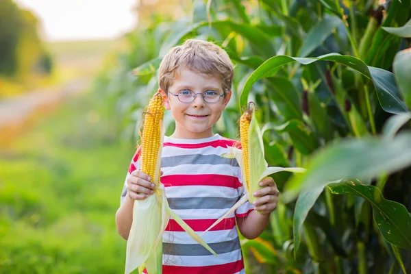 Kid boy with sweet corn on field outdoors — Stock Photo, Image