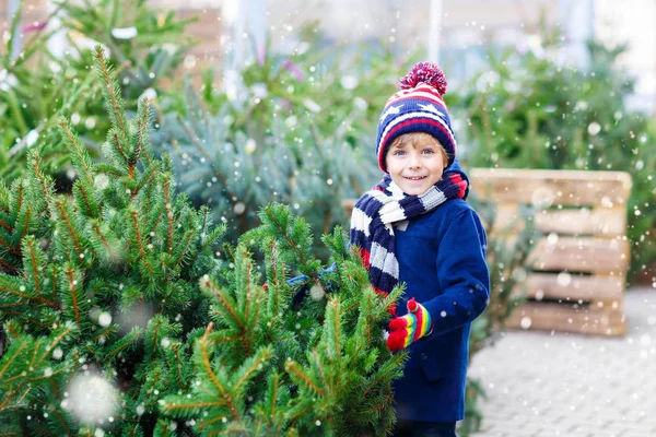 Hermoso niño sonriente sosteniendo el árbol de Navidad —  Fotos de Stock