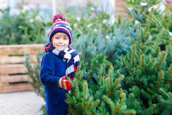 Krásný usměvavý chlapeček drží vánoční strom — Stock fotografie