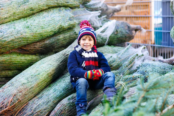 Beautiful smiling little boy holding christmas tree — Stock Photo, Image