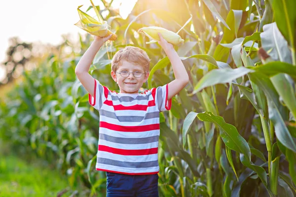 Kid boy with sweet corn on field outdoors — Stock Photo, Image