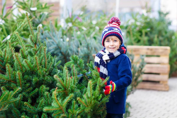 美しい笑顔坊やを抱きかかえて離さないクリスマス ツリー — ストック写真