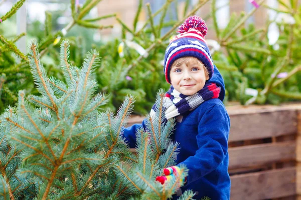 Όμορφη χαμογελαστοί μικρό αγόρι κρατώντας το χριστουγεννιάτικο δέντρο — Φωτογραφία Αρχείου