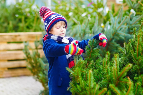 Krásný usměvavý chlapeček drží vánoční strom — Stock fotografie