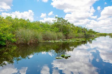 Florida sulak, tekne binmek Everglades Ulusal Park ABD