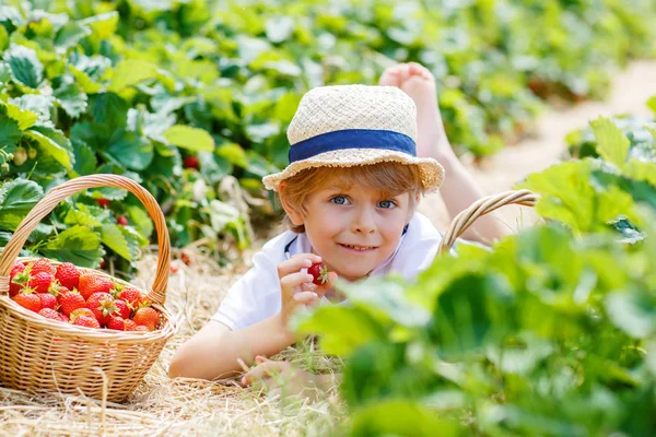 Mały chłopiec dziecko zbieranie truskawek na farmie, na zewnątrz. — Zdjęcie stockowe