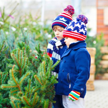 İki küçük çocuk açık hava dükkanından noel ağacı alıyor.