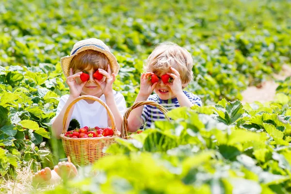 Dois meninos irmãos na fazenda de morango no verão — Fotografia de Stock