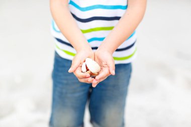 Küçük çocuk çocuk kabukları toplama ile eğleniyor
