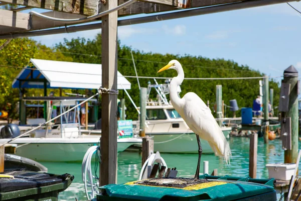 Grande torre branca em Islamorada, Florida Keys — Fotografia de Stock