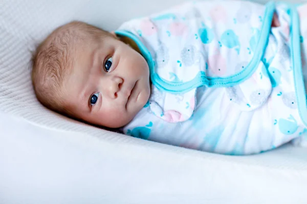 Sevimli küçük yeni doğan bebek kız battaniyeye sarılmış — Stok fotoğraf