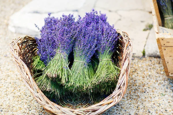 Geschäft in der Provence mit Lavendel und Vintageartikeln. — Stockfoto