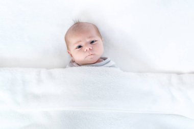 Sevimli, tapılası yeni doğmuş bebek portresi