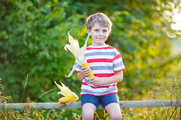 Kid boy with sweet corn on field outdoors — Stock Photo, Image