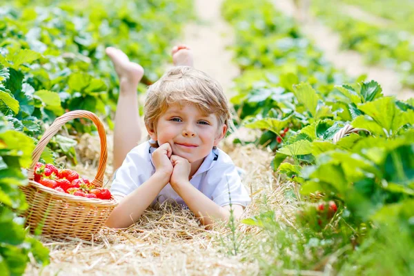 Liten unge pojke plocka jordgubbar på gården, utomhus. — Stockfoto