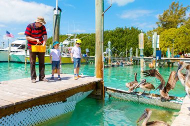 Baba ve iki küçük balıklar ve pelikanlar besleme çocuklar çocuk