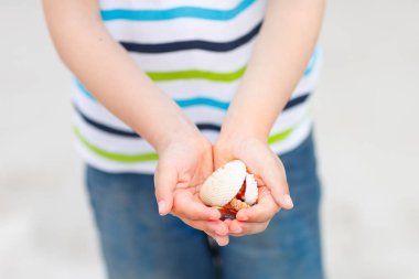 Küçük çocuk çocuk kabukları toplama ile eğleniyor