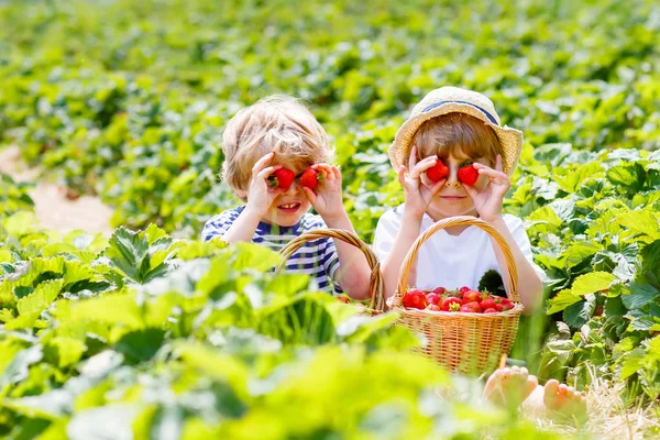 Två små syskon på jordgubbsodling på sommaren — Stockfoto