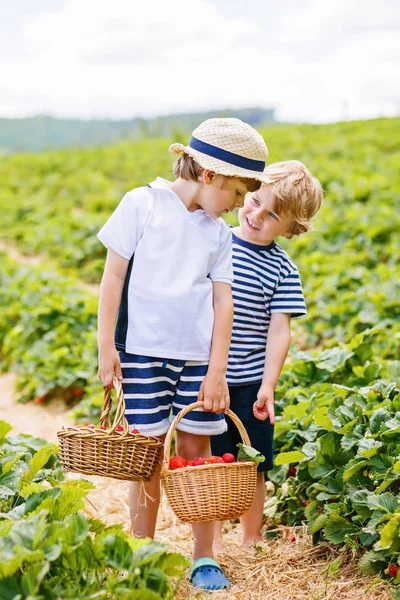 Två små syskon på jordgubbsodling på sommaren — Stockfoto