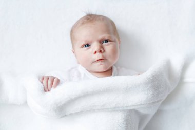 Sevimli, tapılası yeni doğmuş bebek portresi