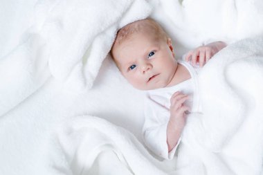 Sevimli, tapılası yeni doğmuş bebek portresi