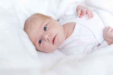 Sevimli, tapılası yeni doğmuş bebek portresi