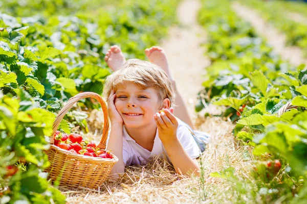 Kleiner Junge pflückt Erdbeeren auf Bauernhof, im Freien. — Stockfoto