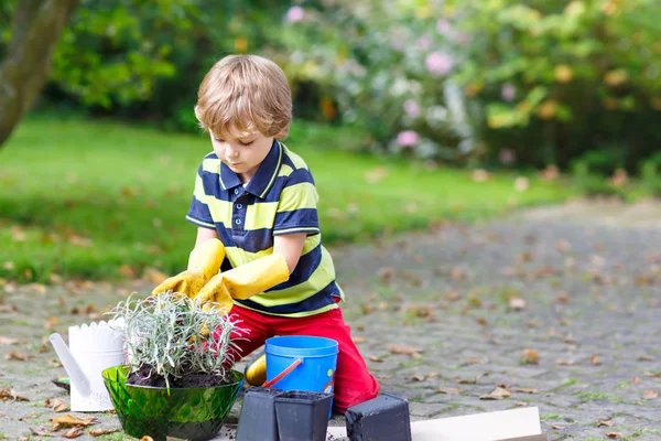 Rolig liten unge pojke plantera blommor i trädgården på sprinig — Stockfoto