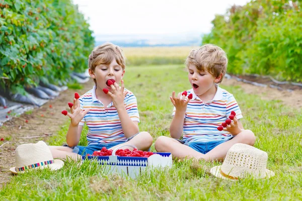 Due piccoli amici, ragazzi che si divertono alla fattoria dei lamponi — Foto Stock