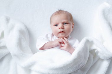 Sevimli, tapılası yeni doğmuş bebek portresi