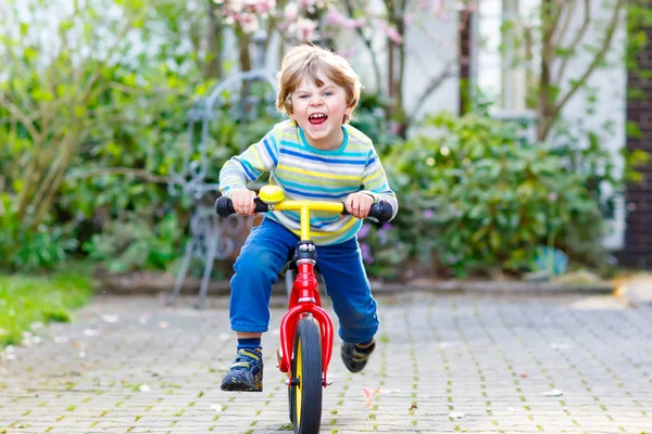 Garotinho adorável dirigindo sua primeira bicicleta ou laufrad — Fotografia de Stock