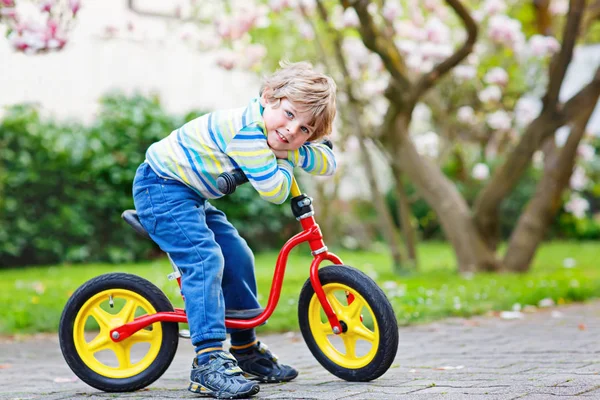 Garotinho adorável dirigindo sua primeira bicicleta ou laufrad — Fotografia de Stock