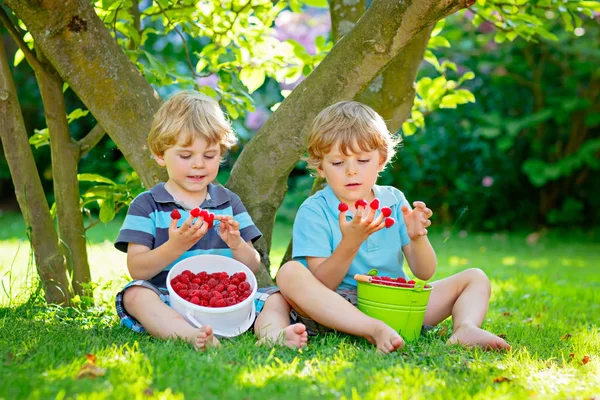 Due piccoli amici, ragazzi che si divertono alla fattoria dei lamponi in estate — Foto Stock