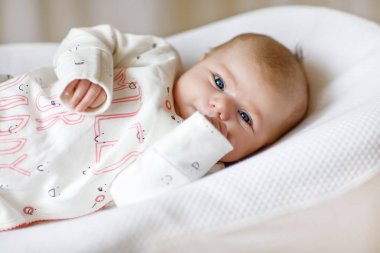 Sevimli, tapılası yeni doğmuş bebek portresi