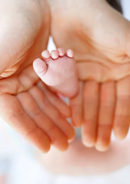 Father or mother holding foot of newborn baby — Stock Photo, Image