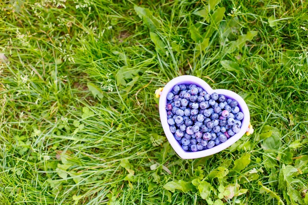 Bøtte full av velsmakende friske blåbær på grønn gressbakgrunn – stockfoto