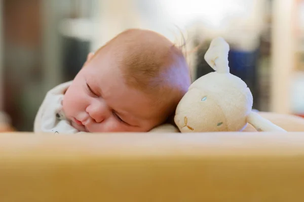Портрет милої чарівної новонародженої дитини спить — стокове фото