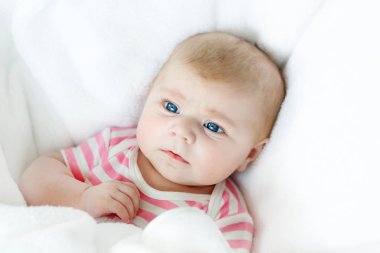 Sevimli, tapılası yeni doğmuş bebek portresi