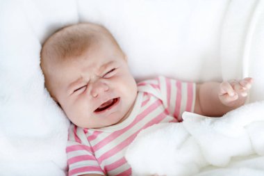 Yumruk emme sevimli sevimli iki ay bebek.