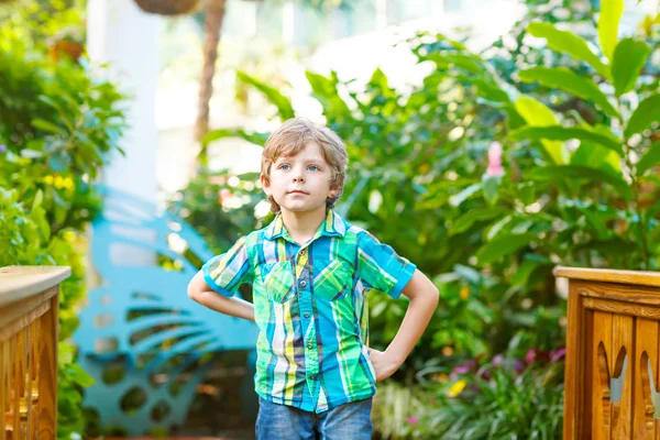Little blond preschool kid boy discovering flowers and butterflies at botanic garden — Stock Photo, Image