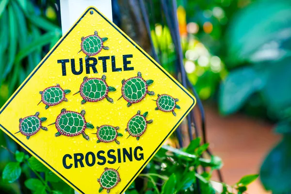 Caution warning sign in Florida Everglades National park, USA — Stock Photo, Image