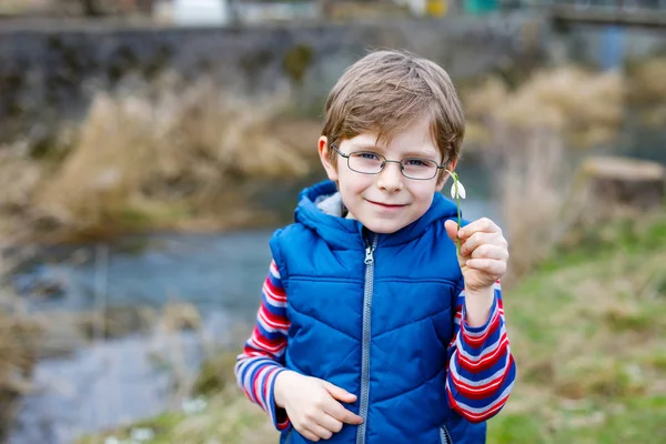 Cute blond preschool kid boy discovering first spring flowers, beautiful snowdrops — Stock Photo, Image