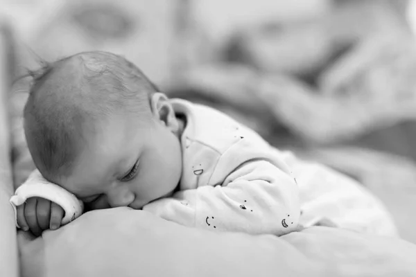 Портрет милої чарівної новонародженої дитини спить — стокове фото