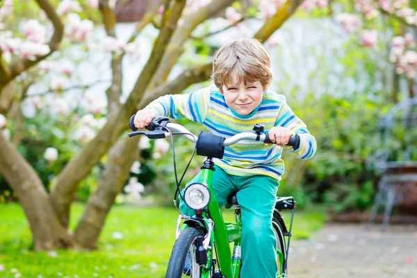 Очаровательный маленький мальчик за рулем своего первого велосипеда или лафреда — стоковое фото