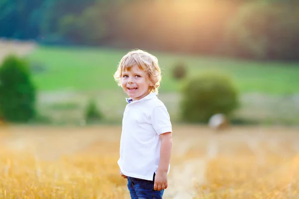 Niño rubio feliz disfrutando de la puesta de sol en el campo de trigo . —  Fotos de Stock