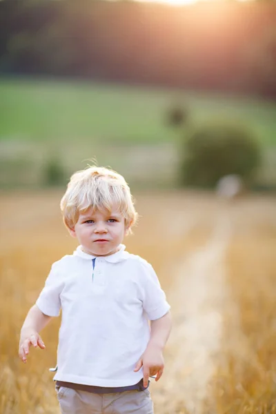 Glücklicher blonder Junge genießt Sonnenuntergang im Weizenfeld. — Stockfoto