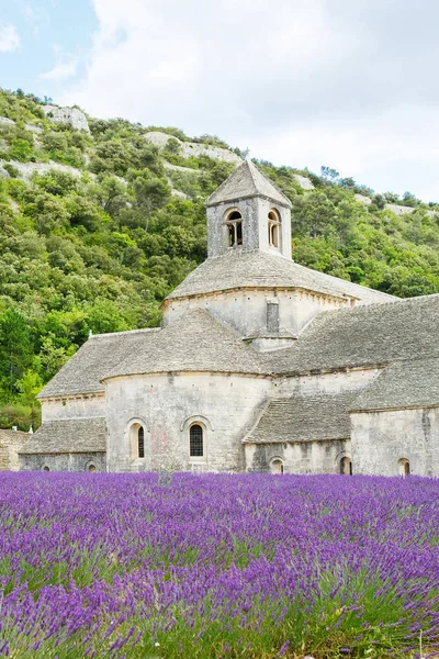 Biara Senanque dan mekar baris bunga lavender — Stok Foto