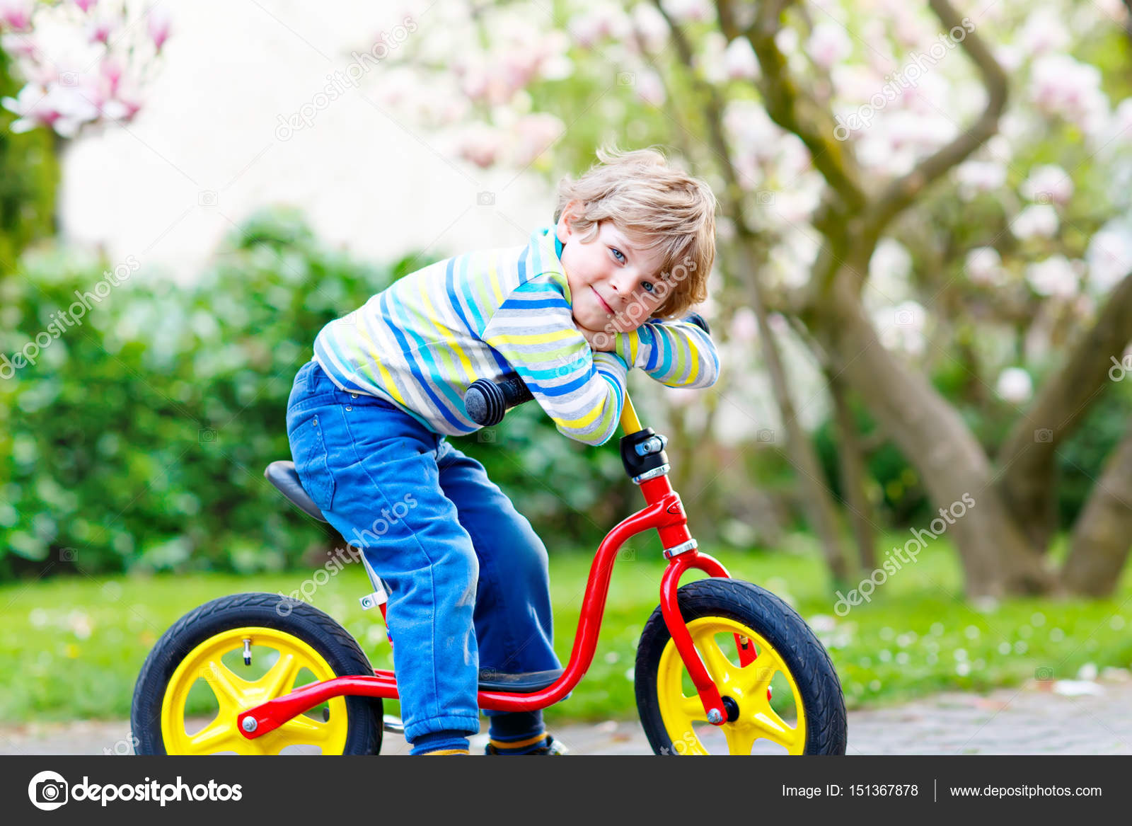 Entzückender kleiner Junge, der sein erstes Fahrrad oder